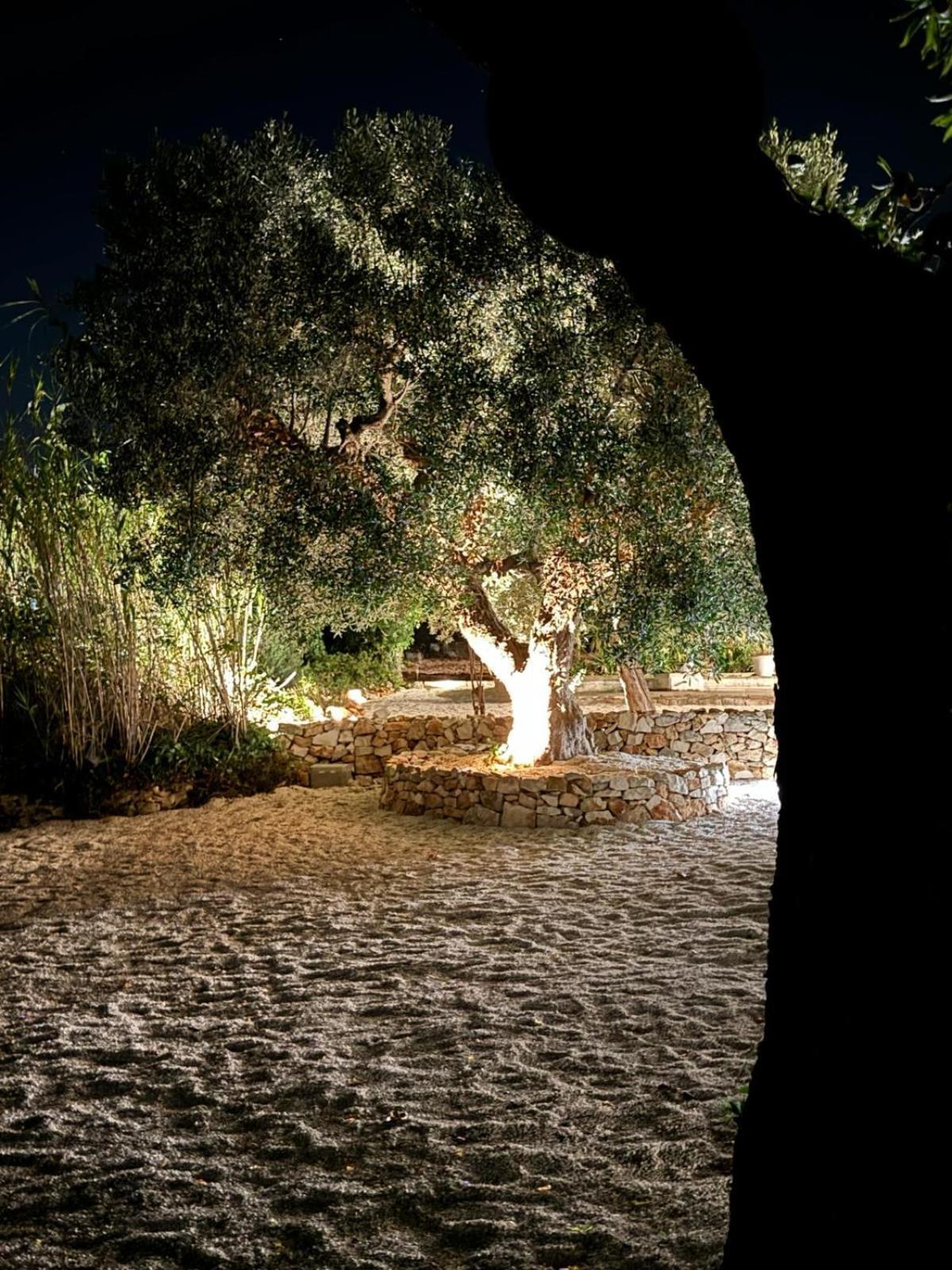 Trulli In Contrada - Monopoli Guest House Exterior photo